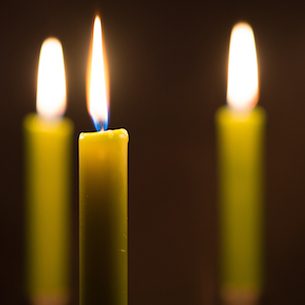 Photo de Virginie MERCIER