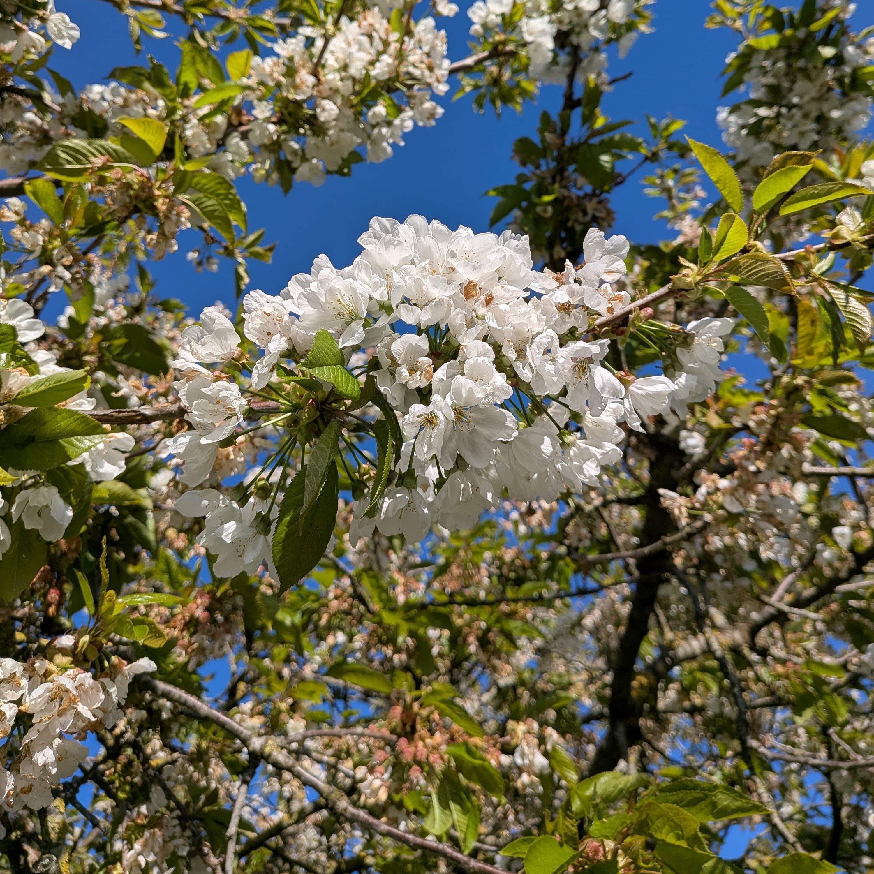 Photo de Pascal DUPLOUY